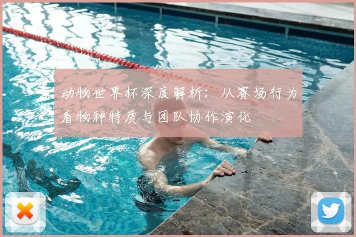 动物世界杯深度解析：从赛场行为看物种特质与团队协作演化