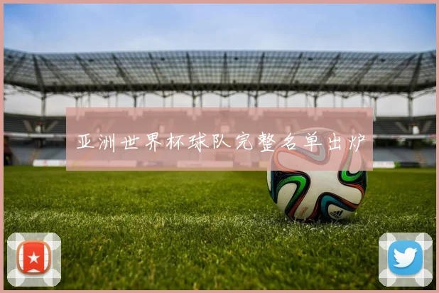 亚洲世界杯球队完整名单出炉