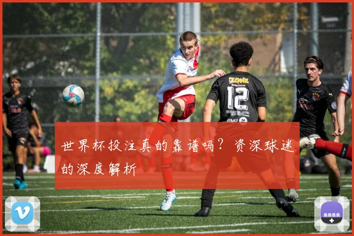 世界杯投注真的靠谱吗？资深球迷的深度解析