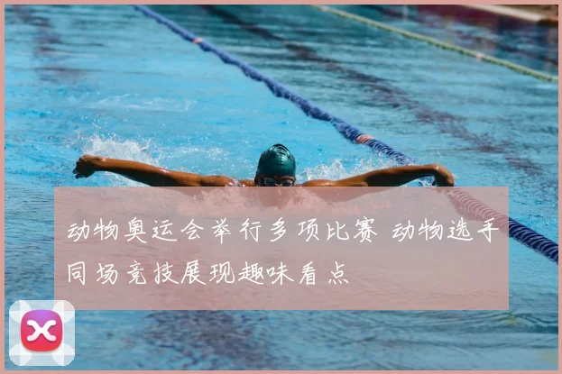 动物奥运会举行多项比赛 动物选手同场竞技展现趣味看点
