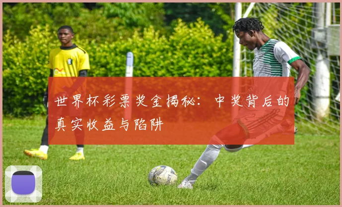 世界杯彩票奖金揭秘：中奖背后的真实收益与陷阱