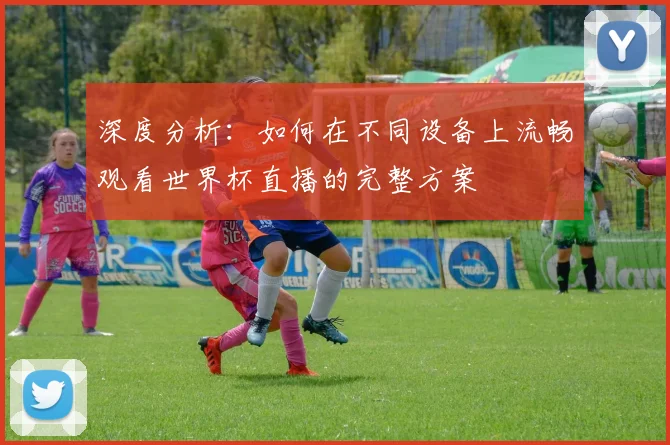深度分析：如何在不同设备上流畅观看世界杯直播的完整方案