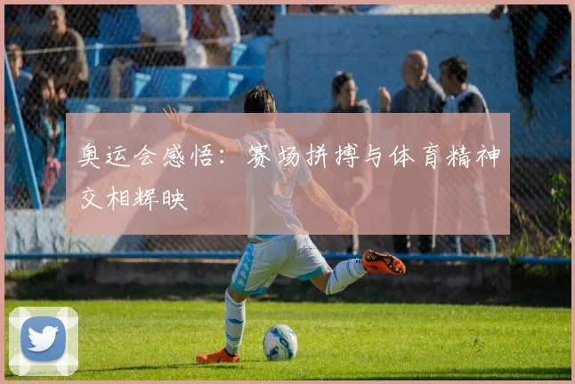 奥运会感悟:赛场拼搏与体育精神交相辉映