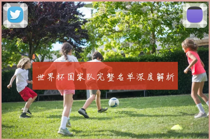 世界杯国家队完整名单深度解析