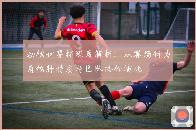 动物世界杯深度解析：从赛场行为看物种特质与团队协作演化