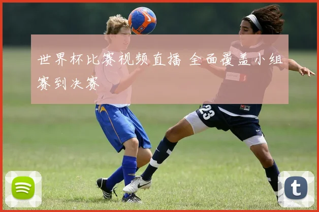 世界杯比赛视频直播 全面覆盖小组赛到决赛