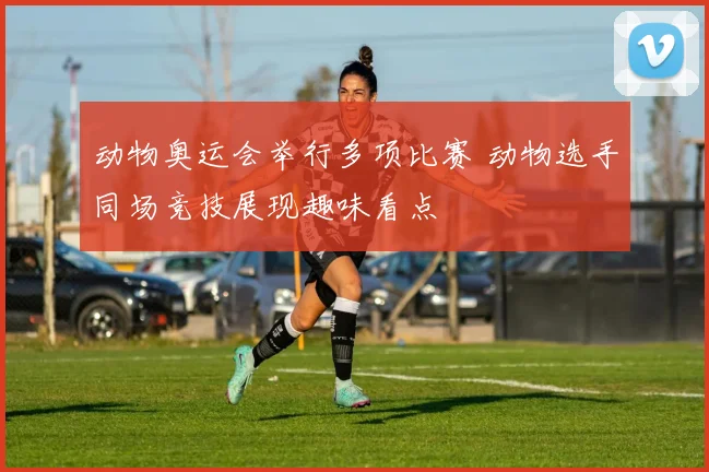 动物奥运会举行多项比赛 动物选手同场竞技展现趣味看点